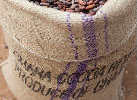 27/04/23 Ghana : les exportations de cacao ont le vent en poupe en 2022/2023